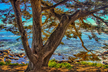 Monterey Bay Coastline
