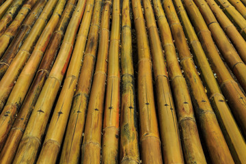Dry Bamboo Background.