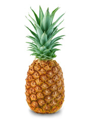 Fototapeta premium pineapple isolated