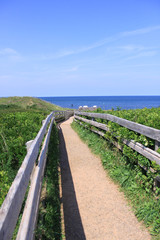 Fototapeta na wymiar View of boardwalk leading to the beach