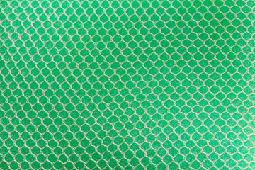 Green Sponge Texture Background.