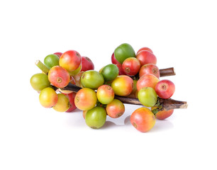 fresh raw coffee beans isolated on white background.