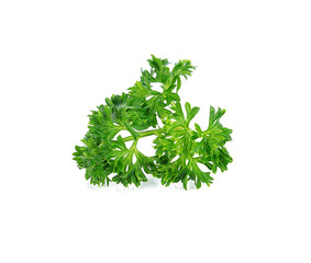 parsley isolated on white background