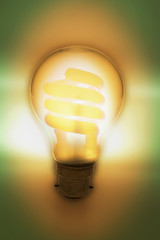 Composite of Light Bulbs