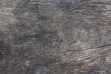 Fototapeta premium Grunge Wooden Texture.