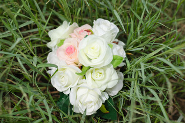 Obraz na płótnie Canvas Beautiful pink and white roses isolated on grass