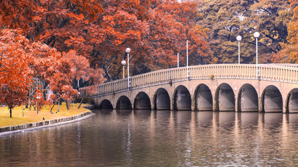 Cement Bridge in Public Park.