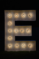 Obraz premium Letter E