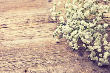  gypsophila (Toning)