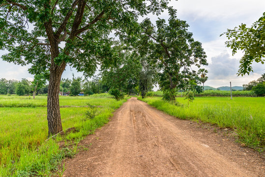 Dirt road in countryside.