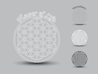 Flower of Life symbol, set of