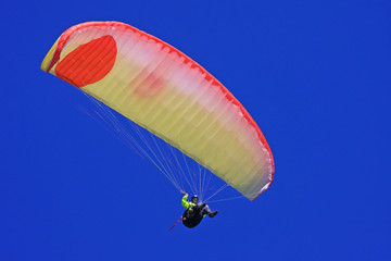 Paraglider