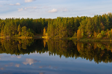 Beautiful autumn forest