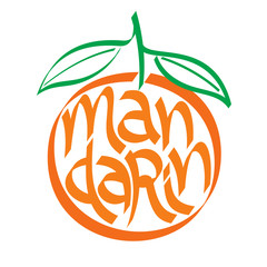 Mandarin, mandarin orange calligraphy. Mandarin, mandarin orange typography. Fruit calligraphy. Fruit typography.