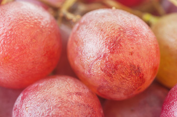 Macro of red grapes fruit isolated