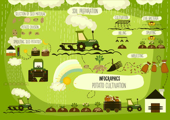Fototapeta na wymiar Potato cultivation, infographics.