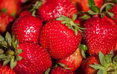 Strawberry background