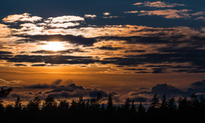 Beautiful autumn forest at sunset