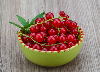 Red currant