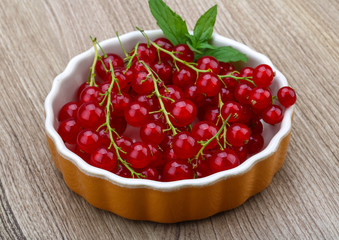 Red currant