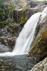 Obraz premium Waterfall in deep rain forest.