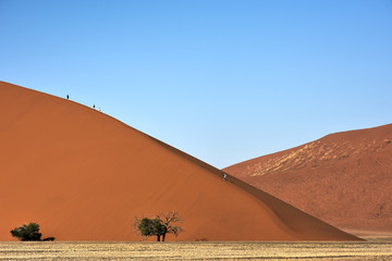 Fototapeta na wymiar Namib Desert, Namibia