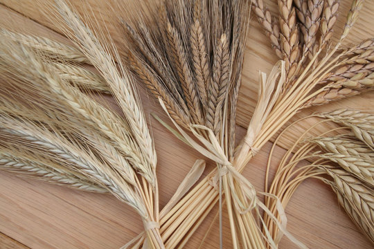 tre tipi di farro e segale su tavolo di legno