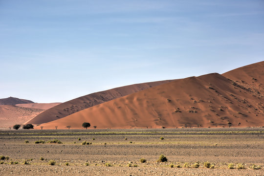 Namib Desert, Namibia