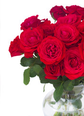 bouquet of fresh roses