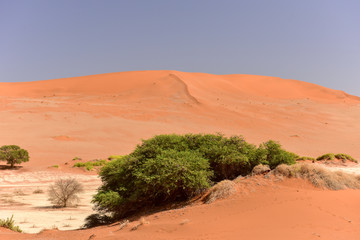 Sossusvlei, Namibia