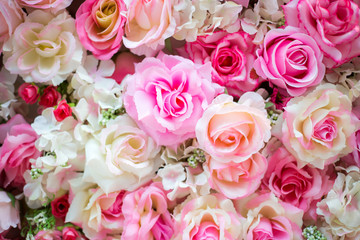 Soft color Roses Background