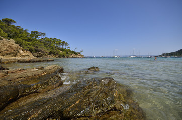 Ile de Porquerolles