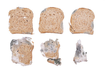 Mouldy bread