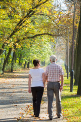 Fototapeta premium Beauty path in the park