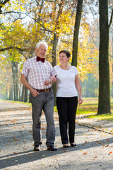 Obraz premium Strall during autumn time