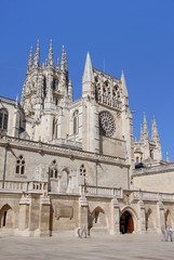 Fototapeta premium cathedrale de burgos