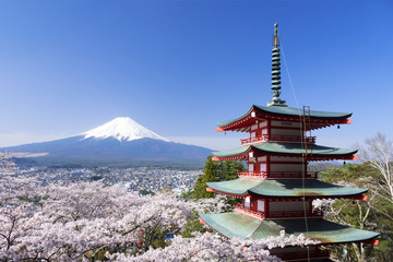 満開の桜　 新倉富士浅間神社　快晴青空