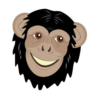head of a smiling monkey
