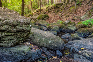 Rocky brook