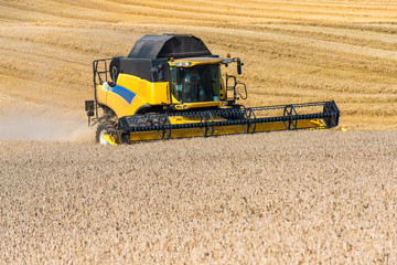 Combine harvester at wheat harvest - 3057