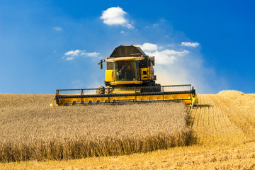 A combine harvester at the grain harvest - 3026