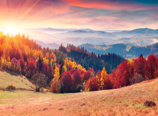 Colorful autumn sunrise in the Carpathian mountains.