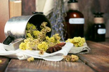 Dried herbs and bottles with tinctures on table close up