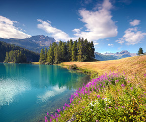 Colorful summer morning on the Champferersee lake