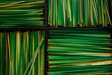 Lemon grass in boxes