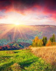 Colorful autumn sunrise in the Carpathian mountains.