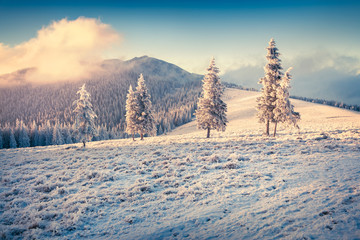 Colorful winter sunrise in the mountains.