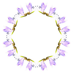 Violet orchid array circle shape isolate on white background