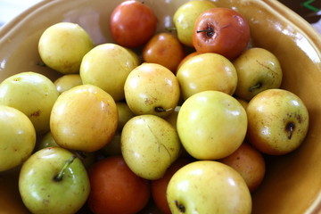  monkey apple fruit