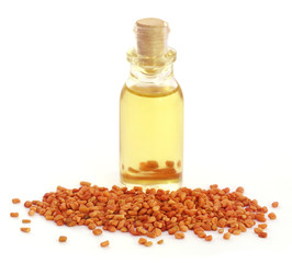 Fenugreek with oil